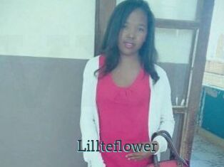 Lillteflower