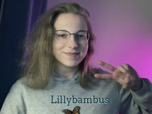 Lillybambus