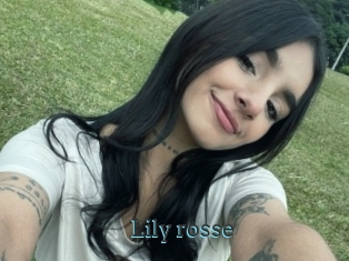 Lily_rosse