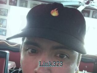 Link323