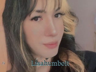 Lisahumbolt