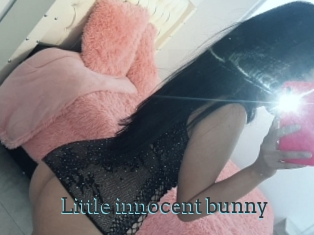 Little_innocent_bunny