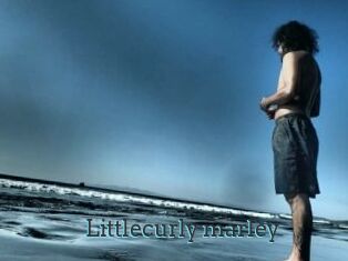 Littlecurly_marley
