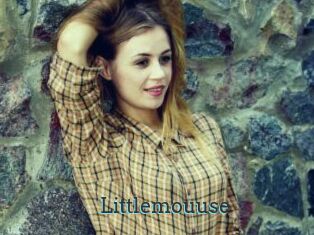 Littlemouuse