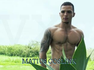 MATIUS_COSLINK