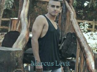 Marcus_Levit