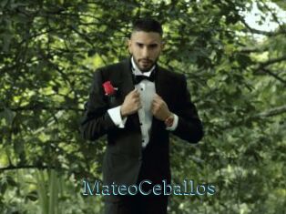 MateoCeballos