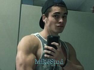MikeStud