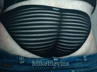 Mikeblevins