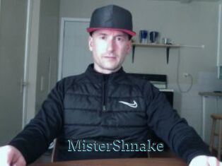 MisterShnake
