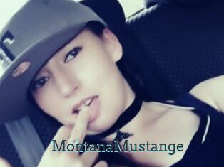 MontanaMustange
