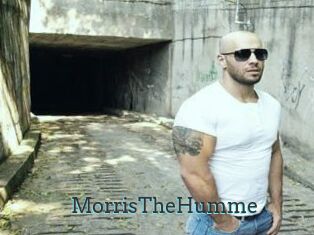 MorrisTheHumme