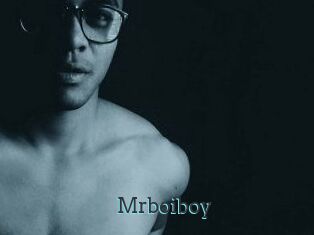Mrboiboy