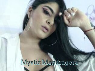 Mystic_Mandragora