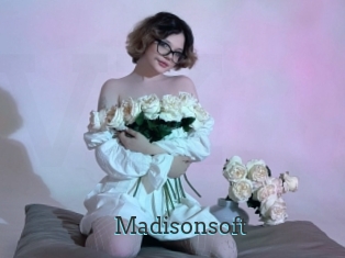 Madisonsoft