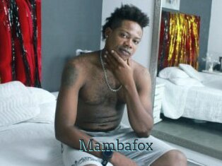 Mambafox