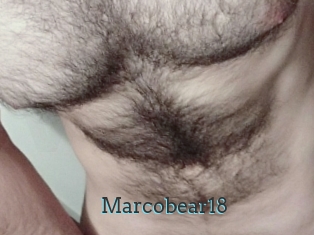 Marcobear18