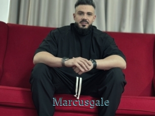 Marcusgale