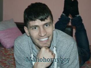 Mariohornyboy