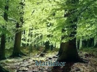 Martiaitor