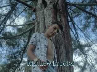 Mathew_brooks