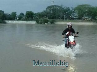 Maurillobig