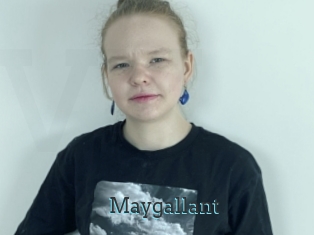 Maygallant