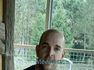 Meesterv