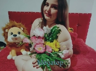 Megatop