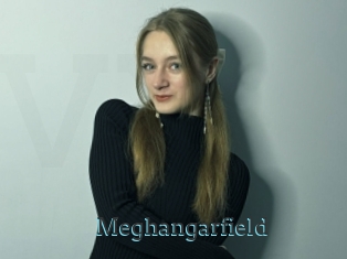 Meghangarfield