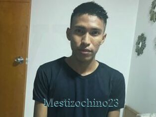 Mestizochino23