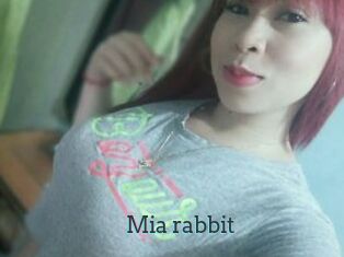 Mia_rabbit