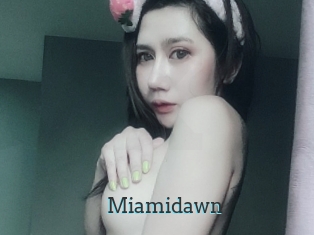 Miamidawn
