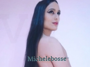 Michelebosse