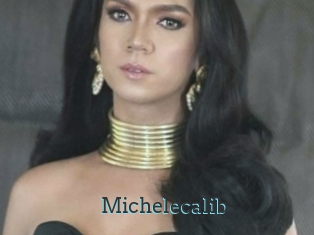 Michelecalib