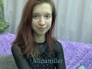 Minamiler
