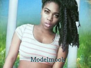 Modelmook