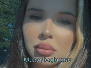 Moneybagbunny