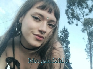 Morgandahlia