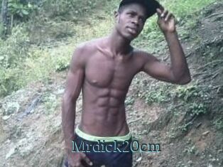 Mrdick20cm