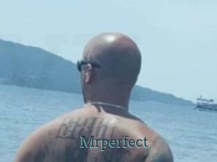 Mrperfect