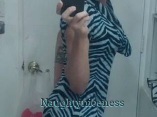 Naughtyniceness