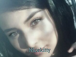 Nicekitty