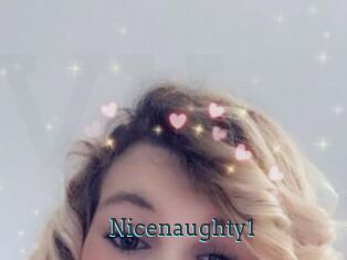 Nicenaughty1