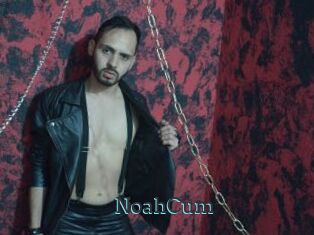 NoahCum