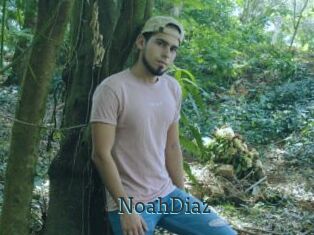 NoahDiaz