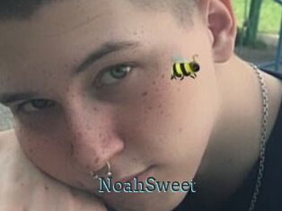 NoahSweet