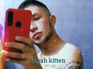 Noah_kitten