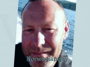 Norwegian_gay
