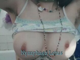 Nymphaea_Lotus